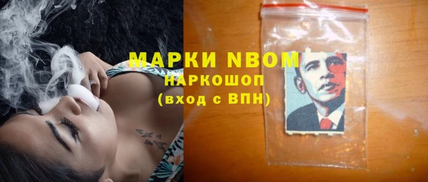 дурь Няндома