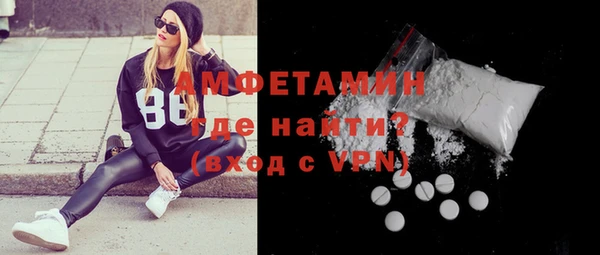 дурь Няндома