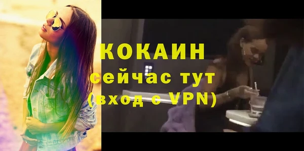 дурь Няндома