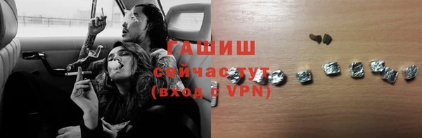 дурь Няндома