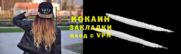 дурь Няндома