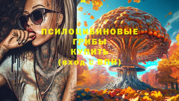 дурь Няндома