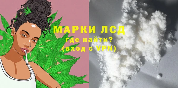 дурь Няндома