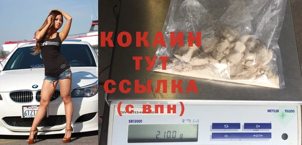 дурь Няндома