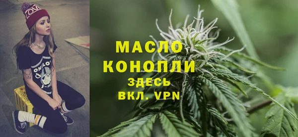 дурь Няндома