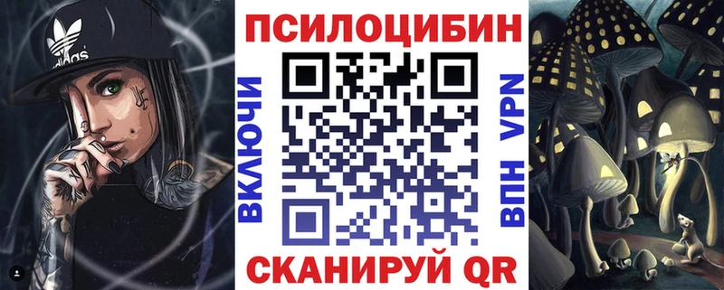 Купить где  Монино  Псилоцибиновые грибы GOLDEN TEACHER 